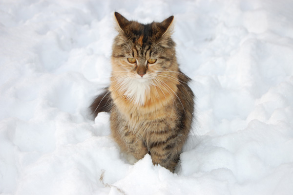 gestern sah die Welt noch anders aus.jpg